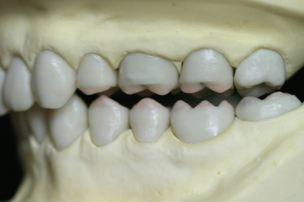Funtion2 (4)