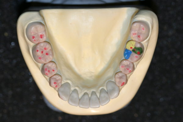 Funtion2 (8)